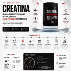 Stack ALPHA21  Whey Protein + Creatina + Pré-Treino – Kit com 3 Suplementos