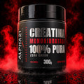 Creatina Monohidratada Pura ALPHA21 300g Premium